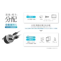 カシムラ USB増設 イルミ付 A-1 C-1 DC-061 1台（直送品）