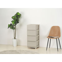 JEJアステージ　デコニーシーヴォ4段　グレージュ　　1台