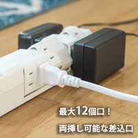 ファーゴ 延長コード 電源タップ AC 12個口 1m 回転式 ホワイト PT160612WH 1個