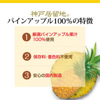 富永貿易 神戸居留地 パインアップル100% 185g 1箱（30缶入）【パイナップルジュース】