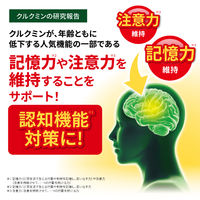 健脳ヘルプ 約30日分 (90粒入り)【小林製薬の機能性表示食品】