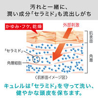 Curel（キュレル） コンディショナー 詰め替え 大容量 760mL 花王 敏感肌