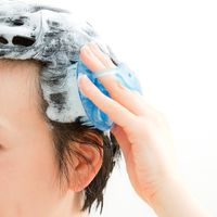 グリーンベル シャンプーブラシ GT-500 1個