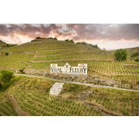 フランス ヴィダル・フルーリー コート・デュ・ローヌ ルージュ 赤ワイン ミディアムボディ 750ml 1本 日本酒類販売