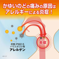 カユノード 12包 小林製薬 花粉 ハウスダスト かゆいのどの痛み【第2類医薬品】