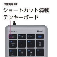 ナカバヤシ Type-C有線テンキー 22ショートカット グレーブラック TNK-SU235GYBK 1個