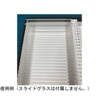 硝英製作所 紙製プレパラート標本箱 100枚用 0112053 1箱 68-0990-21（直送品）