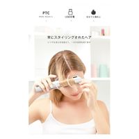 アスコ USBヘアアイロン ホワイト KD386(W) C1000492 1台（直送品）