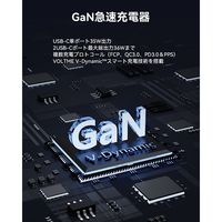 VOLTME 充電器 35W、18W TypeC×2 ホワイト V2089 1点