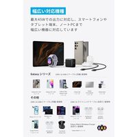 Anker Charger (45W) with USBーCケーブル B2653N11 1本