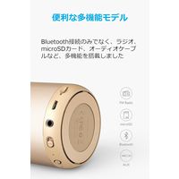 Anker SoundCore mini A31015B1 1個