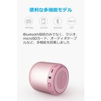Anker SoundCore mini A3101551 1個