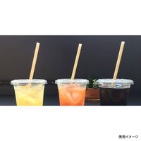 江戸川物産 サトウキビストロー φ6×210mm 紙袋入 00669653 1袋(100本)（直送品）