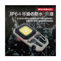 Trimate 6in1 マルチツール付き LEDワークライト ミニ投光器モデル TR-WL012-TRI 1個 67-4921-78（直送品）