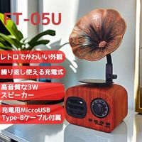 ケイブライト レトロFM・Bluetoothスピーカー FT-05U-WD 1台