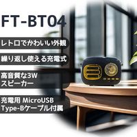 ケイブライト レトロFM・Bluetoothスピーカー FT-BT04-BK 1台