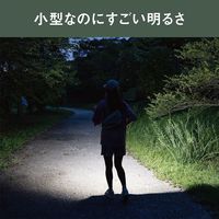 ムサシ 充電式 ぴかり MINI LIGHT ミントグリーン/シャンパンゴールド WRC-24MG 1台 67-5188-02（直送品）