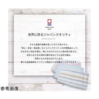 ブレイン 今治ブランド汗とりインナータオル ストライプ 5枚入 BR-613 1枚(5枚) 65-3656-60（直送品）