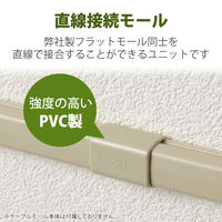 配線カバー モール 接続ユニット ストレート 壁用 フラットモール ベージュ LD-GAFJ1M エレコム 1個