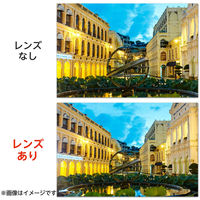 スマホ 広角レンズ 0.67倍 クリップ式 レンズ マクロレンズ ブラック P-SLW06BK エレコム 1個