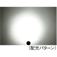 パーマンコーポレーション LEDワークランプ 4LED DC12~24V 防水 1164515000 1個（直送品）