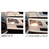 パーマンコーポレーション フォグランプ球 DC12~24V H3 LED 色温度6000K 1ヶ入 1165600000 1個（直送品）