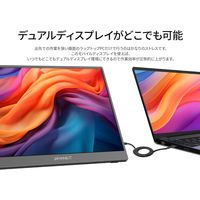 ジャパンネクスト  17.3インチ 4K モバイルディスプレイ(3840x2160/IPS) JN-MD-IPS1732UHDR（直送品）