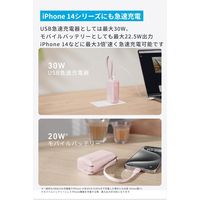 モバイルバッテリー Anker Power Bank (30W、Fusion、ライトニングケーブル) A1636122 1個