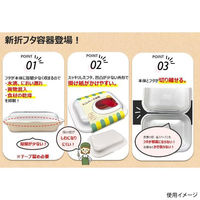 エフピコ 軽食容器 DLVボーノ19-15 カフェブルーW 40020745 1ケース(270個(30個×（直送品）