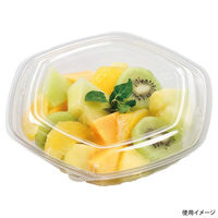 エフピコ サラダ容器 APヘキサ 19-18(55) 本体 エコ 7R001918 1ケース(400個(50個×8)（直送品）