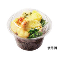 エフピコ フルーツ容器 APフルーツ20 本体 7R010120 1ケース(800個(50個×16)（直送品）