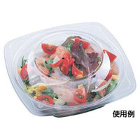 エフピコ 冷麺容器 APデリ-150-300 本体 7R031253 1袋(50個)（直送品）