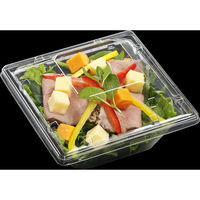 エフピコ サラダ容器 APモダン15-15(55)本体 エコ 7R172155 1ケース(900個(50個×18)（直送品）