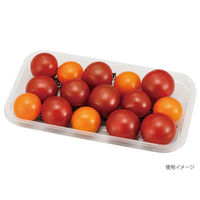 エフピコチューパ フルーツ容器 VF-X1710 AP 透明 CP003981 1ケース(1800個(100個×18)（直送品）