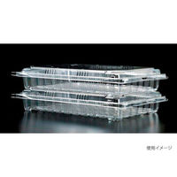 エフピコチューパ フルーツ容器 STR-GHP.8H CP007400 1ケース(300個(50個×6)（直送品）