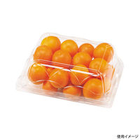 エフピコチューパ フルーツ容器 NZW17-13(68)AP.6H 小 CP007621 1ケース(600個(50個×（直送品）