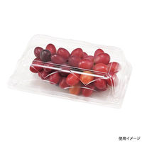 エフピコチューパ フルーツ容器 NZW21-13(68)AP.6H 中 CP007622 1ケース(400個(50個×（直送品）