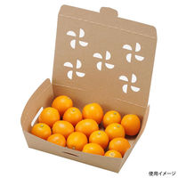 エフピコチューパ フルーツ容器 紙ベジ 16-12(42) クラフト FSL CP501901 1ケース(450個(25個×18)（直送品）