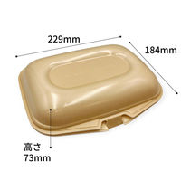 エフピコ 弁当容器 DLVランチ23-18-1 ベージュ 40020702 1袋(30個)（直送品）