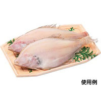 エフピコ 発泡トレー 手板-角10 檜葉 49450010 1袋(50個)（直送品）