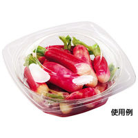 エフピコ 冷麺容器 APデリ-120-160 本体 7R031220 1袋(50個)（直送品）