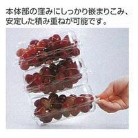 エフピコチューパ フルーツ容器 GPR-S.6H CP007228 1袋(50個)（直送品）