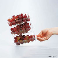 エフピコチューパ フルーツ容器 GPR-M 6H CP007229 1袋(50個)（直送品）