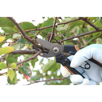 角利産業 Gardening Pro コルクハンドル剪定鋏 アンビル型 70264 1個（直送品）