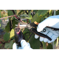 角利産業 Gardening Pro コルクハンドル芽切鋏 70265 1個（直送品）