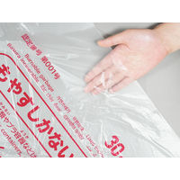 ゴミ袋 小山市・下野市・野木町指定 半透明 30L 50枚入 1パック 0.011mm 日本サニパック