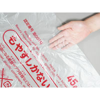 ゴミ袋 小山市・下野市・野木町指定 半透明 45L 50枚入 1パック 0.011mm 日本サニパック