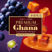 プレミアムガーナ ショコラセレクション 1袋 ロッテ チョコレート お菓子