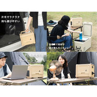 キャプテンスタッグ ポータブルバッテリー 500 TV UW-4511 1台（直送品）