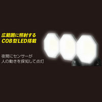 大進 人感 センサーライト コンセント 屋外 LED 防雨 DLA-18T300 1台（直送品）
